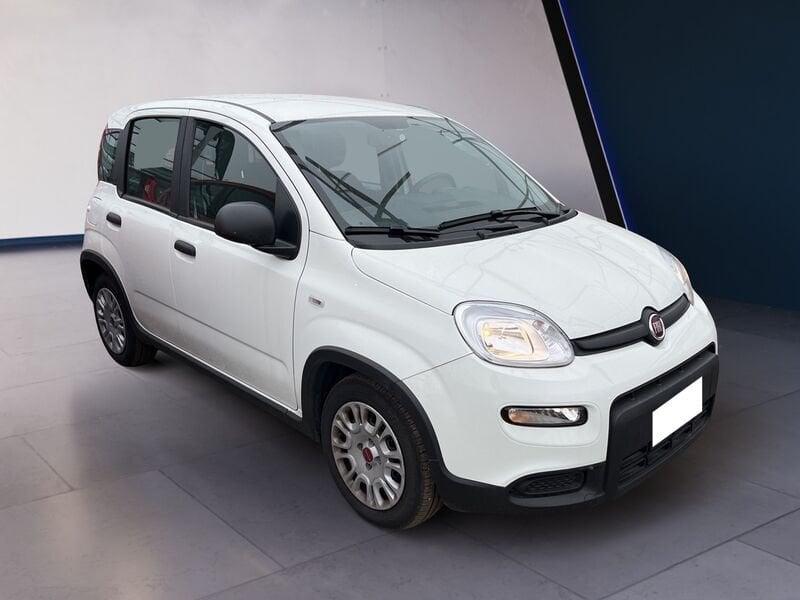 FIAT Panda My23 1.0 70cv Hybrid Panda
