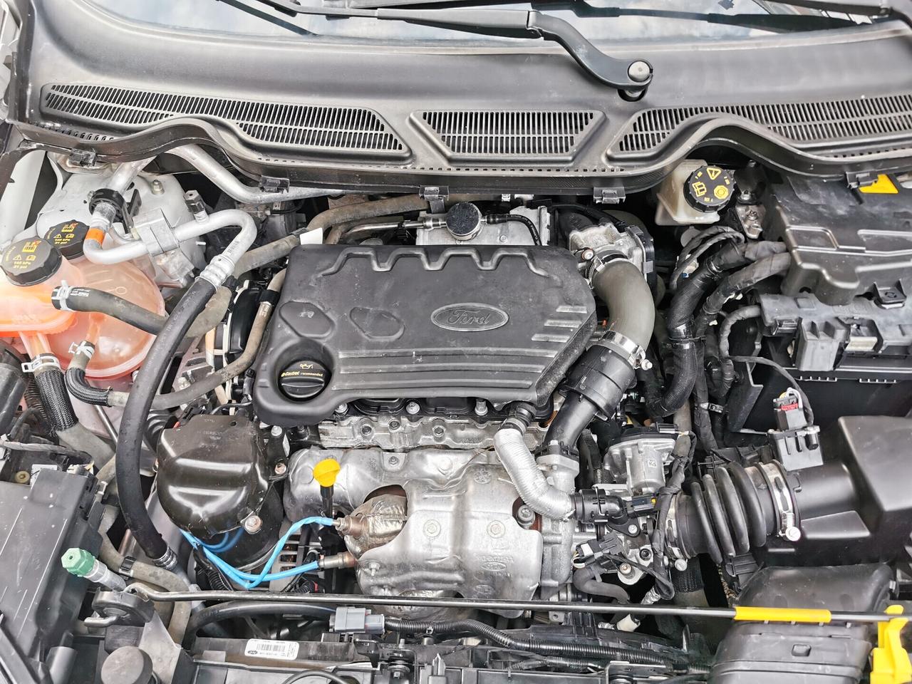 Ford EcoSport 1.5 Ecoblue 95cv Start&Stop Connect