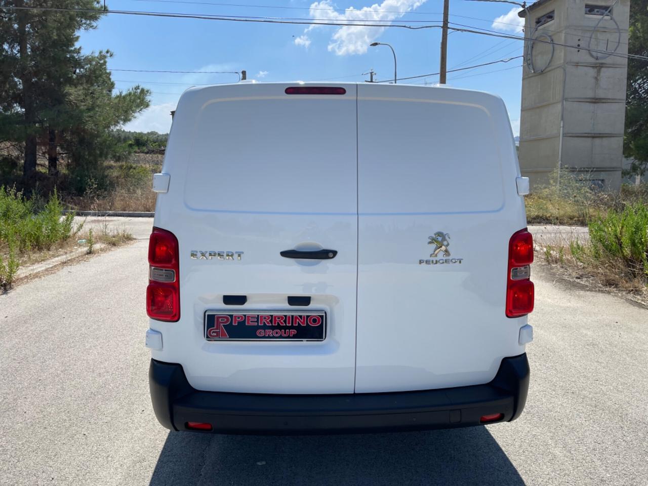 Peugeot Expert BlueHDi 100 S&S PL-SL-TN Furgone Premium Long