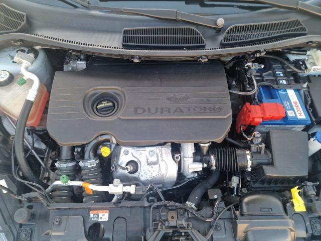 FORD Fiesta 1.5 TDCi 75CV 5 porte Business