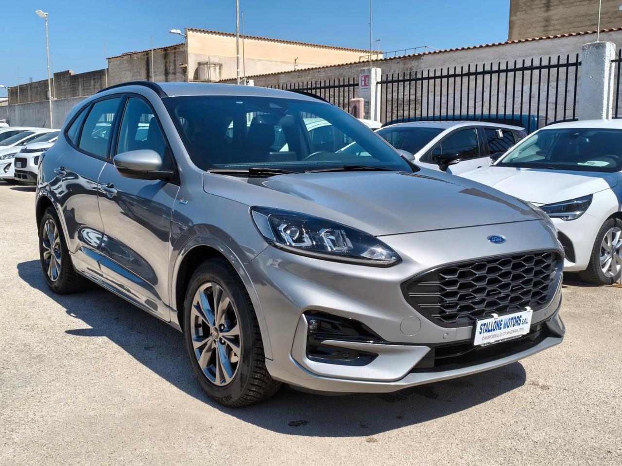 Ford Kuga 1.5 EcoBlue 120 CV 2WD ST-Line 2022