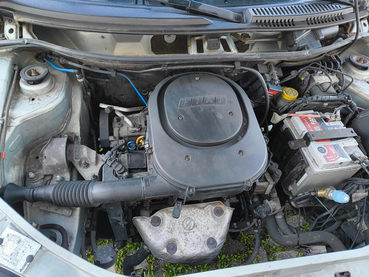 Fiat Punto 1.2 5 porte Active Natural Power