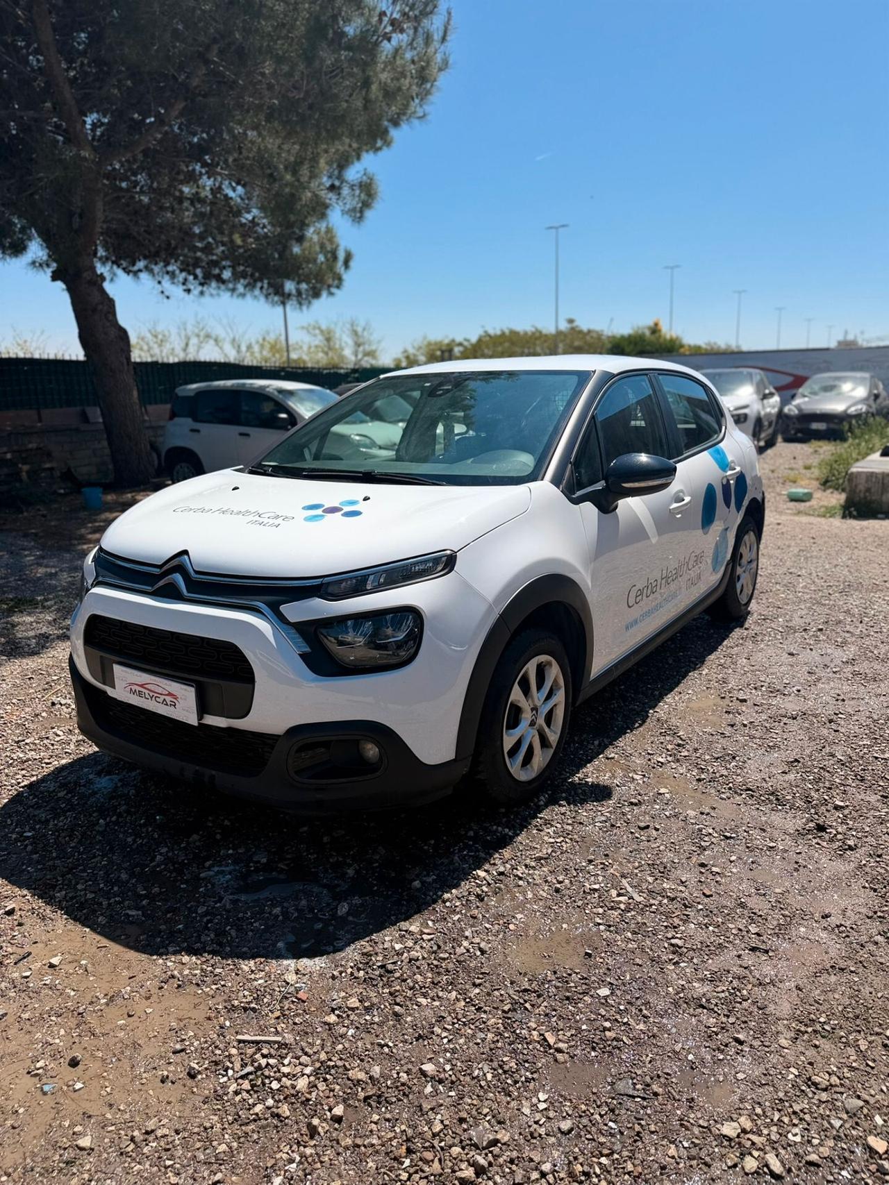 Citroen C3 BlueHDi 100 S&S Van Feel Con Catena Rotta