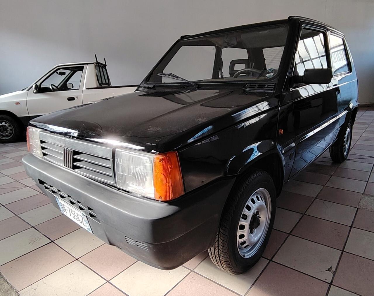 Fiat Panda 900 i.e. cat Young