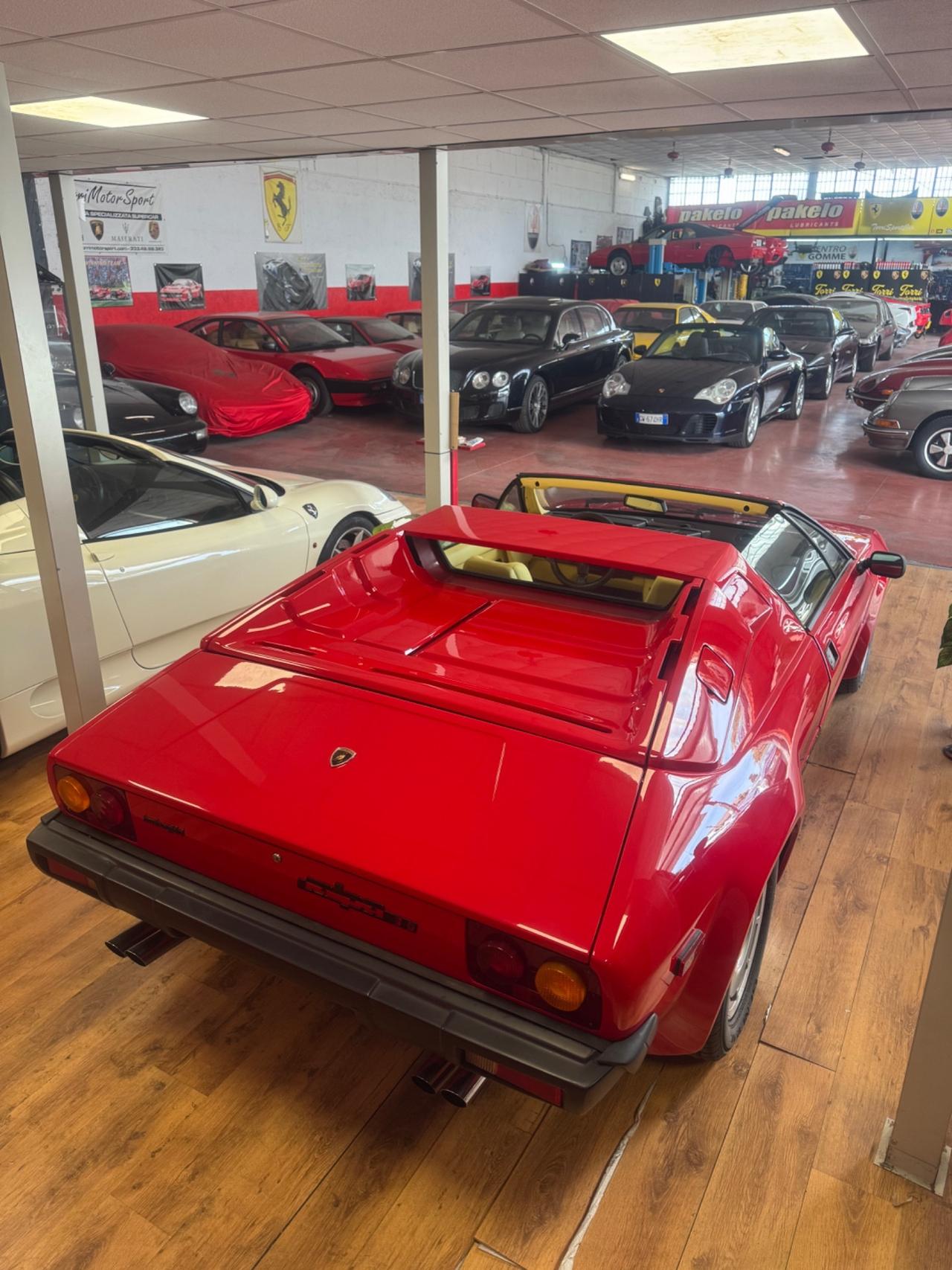 Lamborghini Jalpa 3500 RESTAURATA-PERMUTE