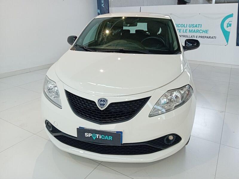 Lancia Ypsilon Ypsilon 1.2 69 CV 5 porte GPL Ecochic Gold