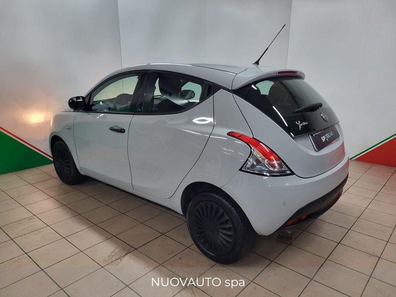 Lancia Ypsilon Ypsilon 1.2 Gold ecochic Gpl 69cv my19