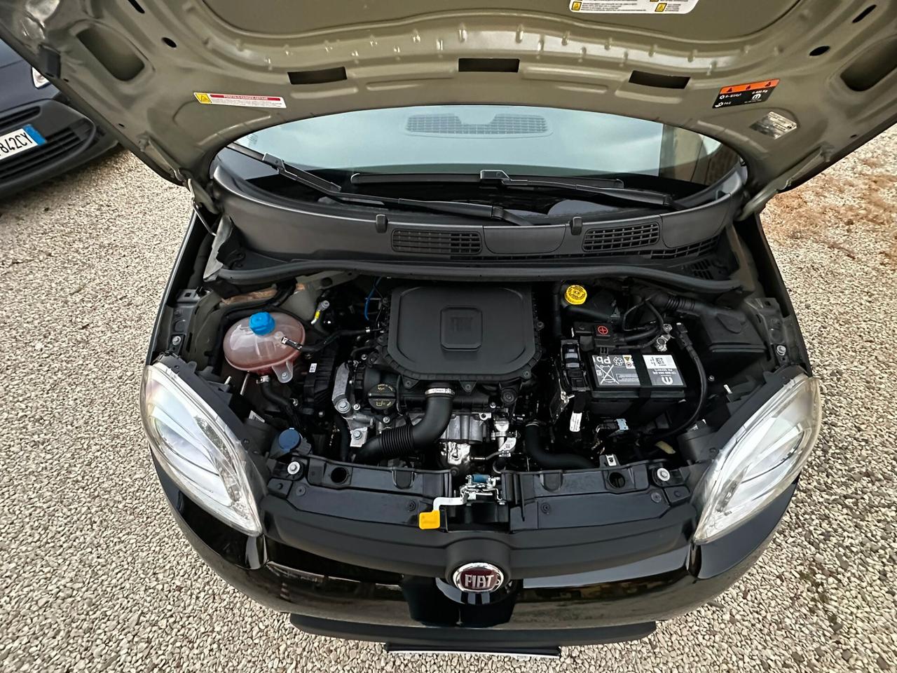 Fiat Panda 1.0 FireFly S&S Hybrid PREZZO REALE