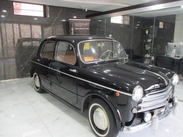 FIAT 1100 1100 h Lusso