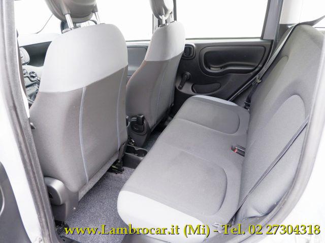 FIAT Panda 1.2 Easy 69cv OK Neopatentati