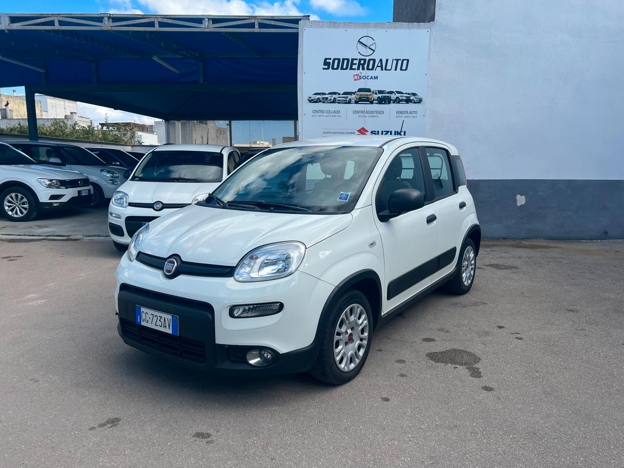 Fiat Panda Fiat Panda VAN 1.0 HYBRID STREET 70CV 4P.TI SERIE 4 E6D