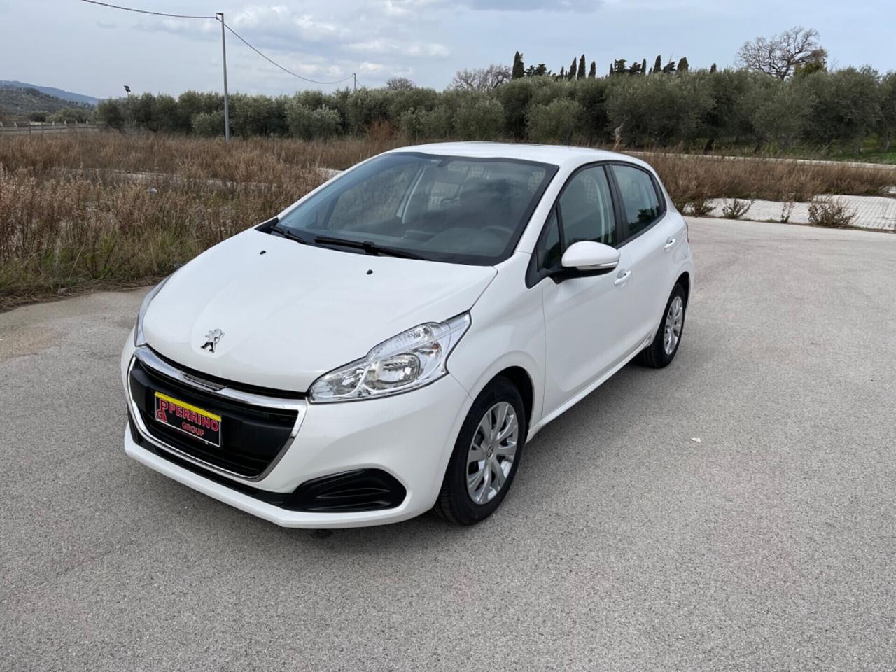 Peugeot 208 BlueHDi 100 S&S 5 porte Active Van 2 posti
