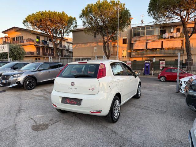 FIAT Punto 1.3 MJT II 75 CV 5 porte Young