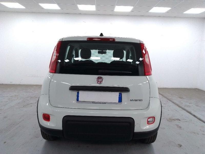 FIAT Panda 1.0 firefly hybrid s&s 70cv