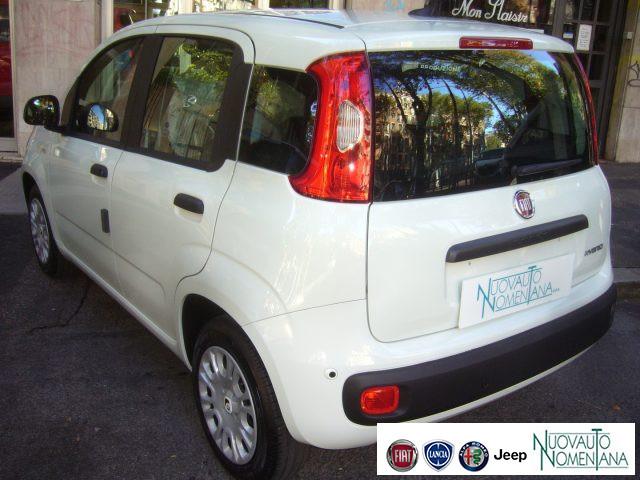 FIAT Panda 1.0 FireFly S&S Hybrid Icon 5°posto Pack City