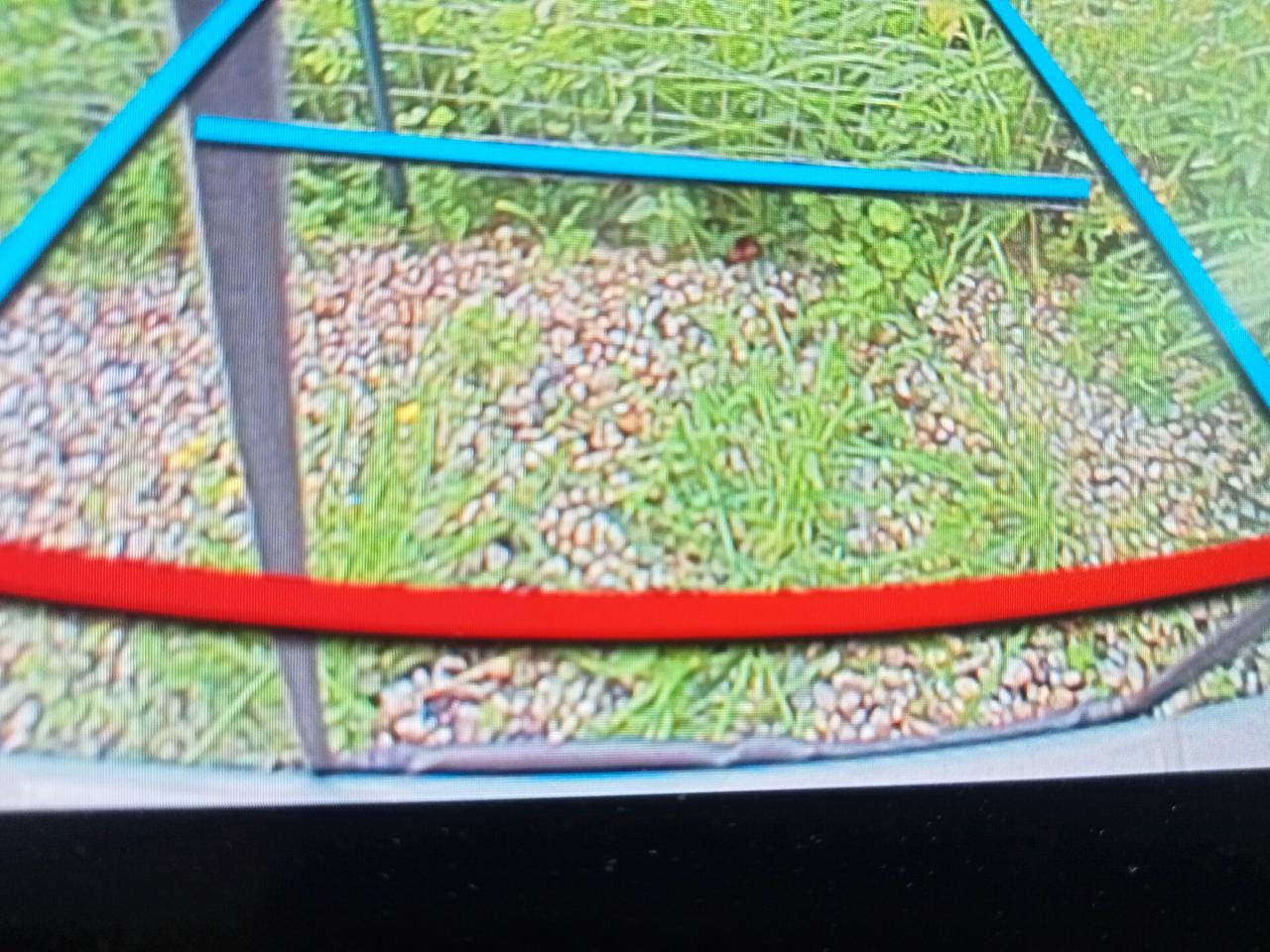 Jeep Avenger 1.2 Turbo 100 CV Summit 2025 km 8200