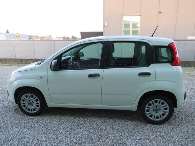 FIAT Panda 1.2 Easy S&S 1200 C.C.