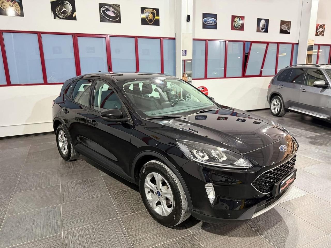 Ford Kuga 1.5 Ecoblue Titanium 120cv Autom2021
