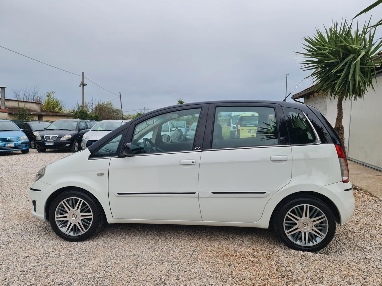 Lancia MUSA Bicolore gpl adatta a NEOPATENTATI