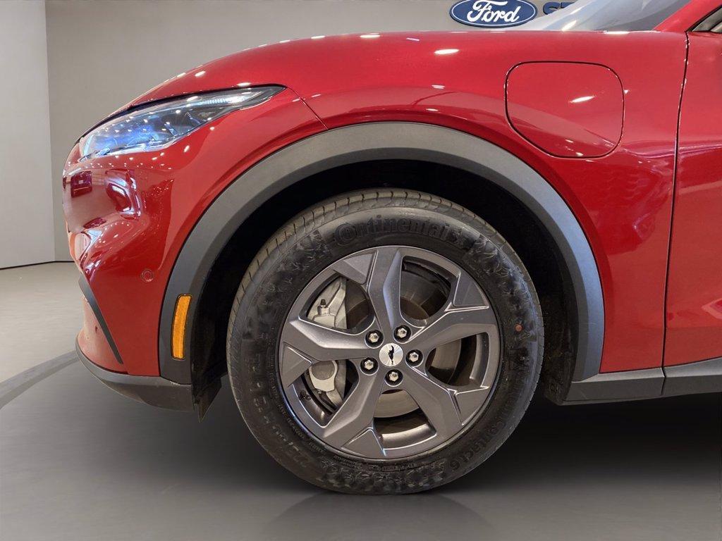 FORD Mustang Mach-e standard range rwd 269cv auto del 2023