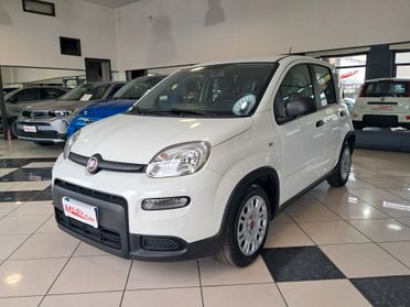 Fiat Panda 1.0 FireFly Hybrid 70 cv