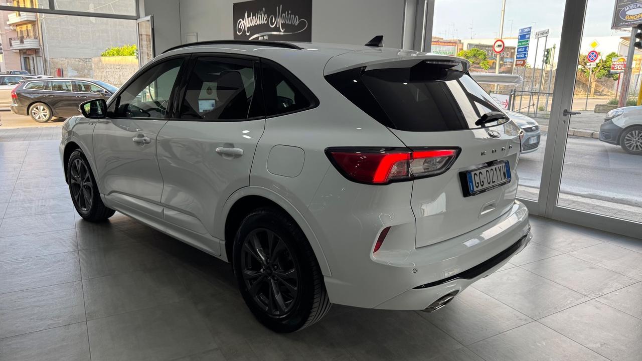 Ford Kuga 1.5 EcoBlue 120 CV 2WD ST-Line X-2021