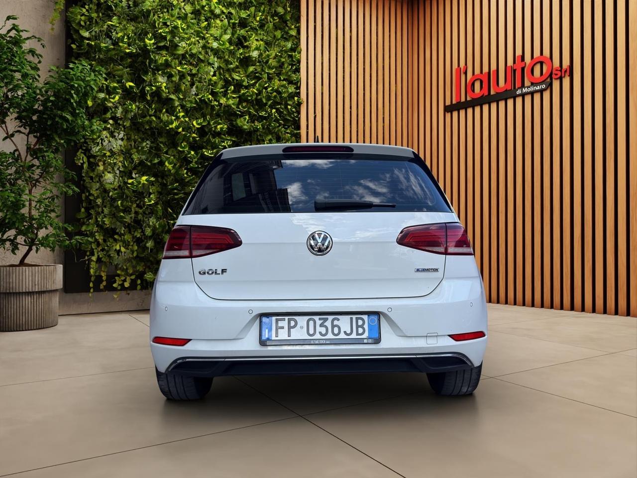 Volkswagen Golf 1.4 TGI 5p. Highline BlueMotion