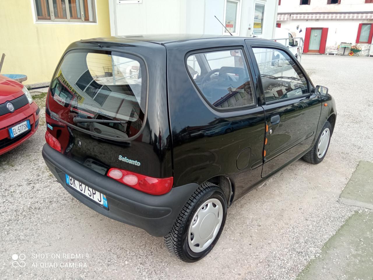 Fiat Seicento 900i cat Young