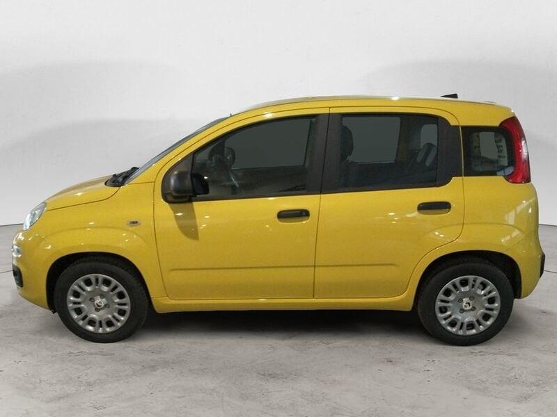 FIAT Pandina 1.0 65cv Hybrid Icon