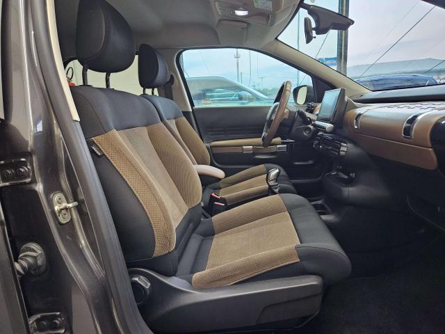 Citroen C4 C4 Cactus 2014 Cactus 1.6 bluehdi Shine 100cv