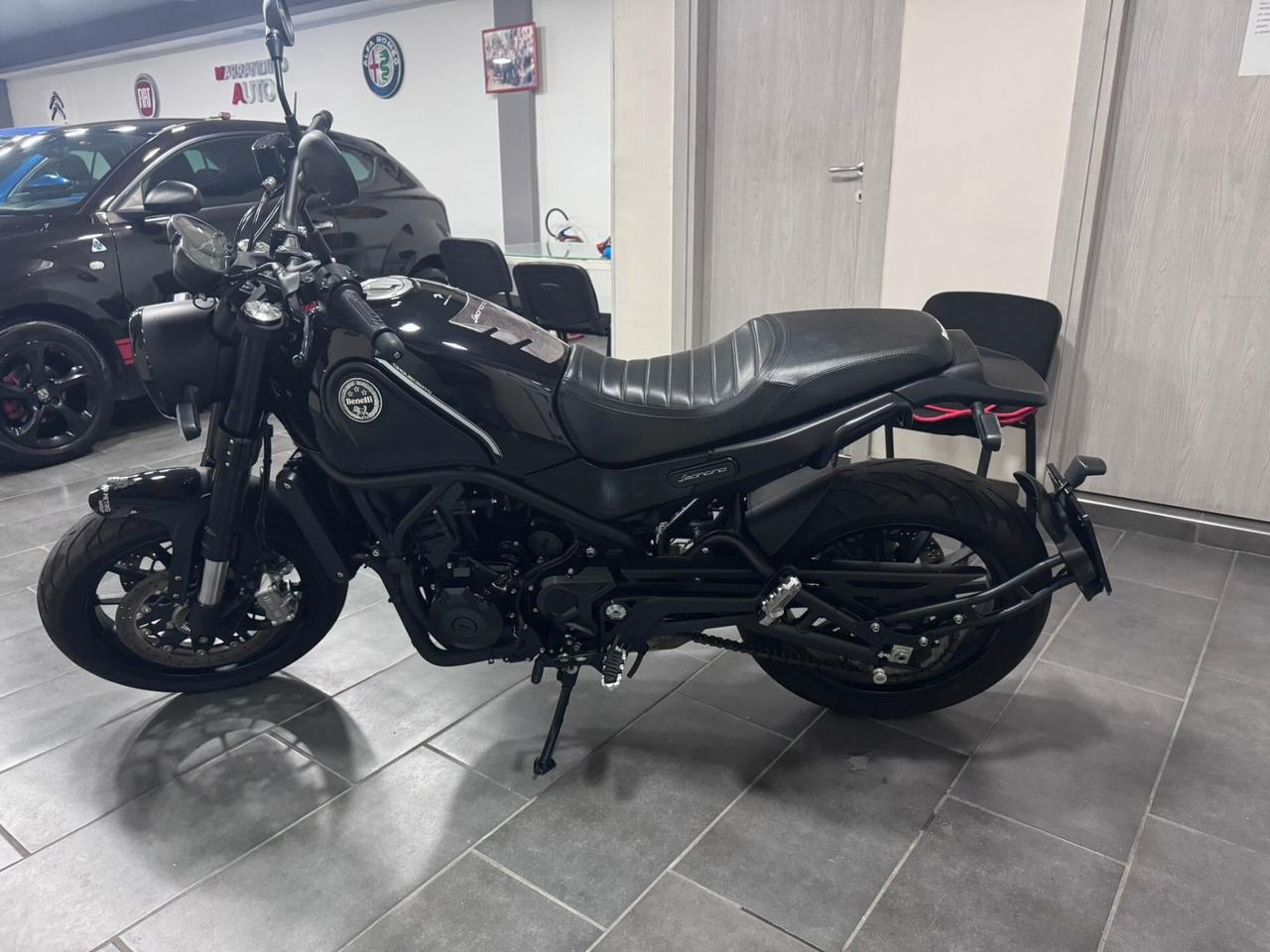 Benelli Leoncino 500 leoncini