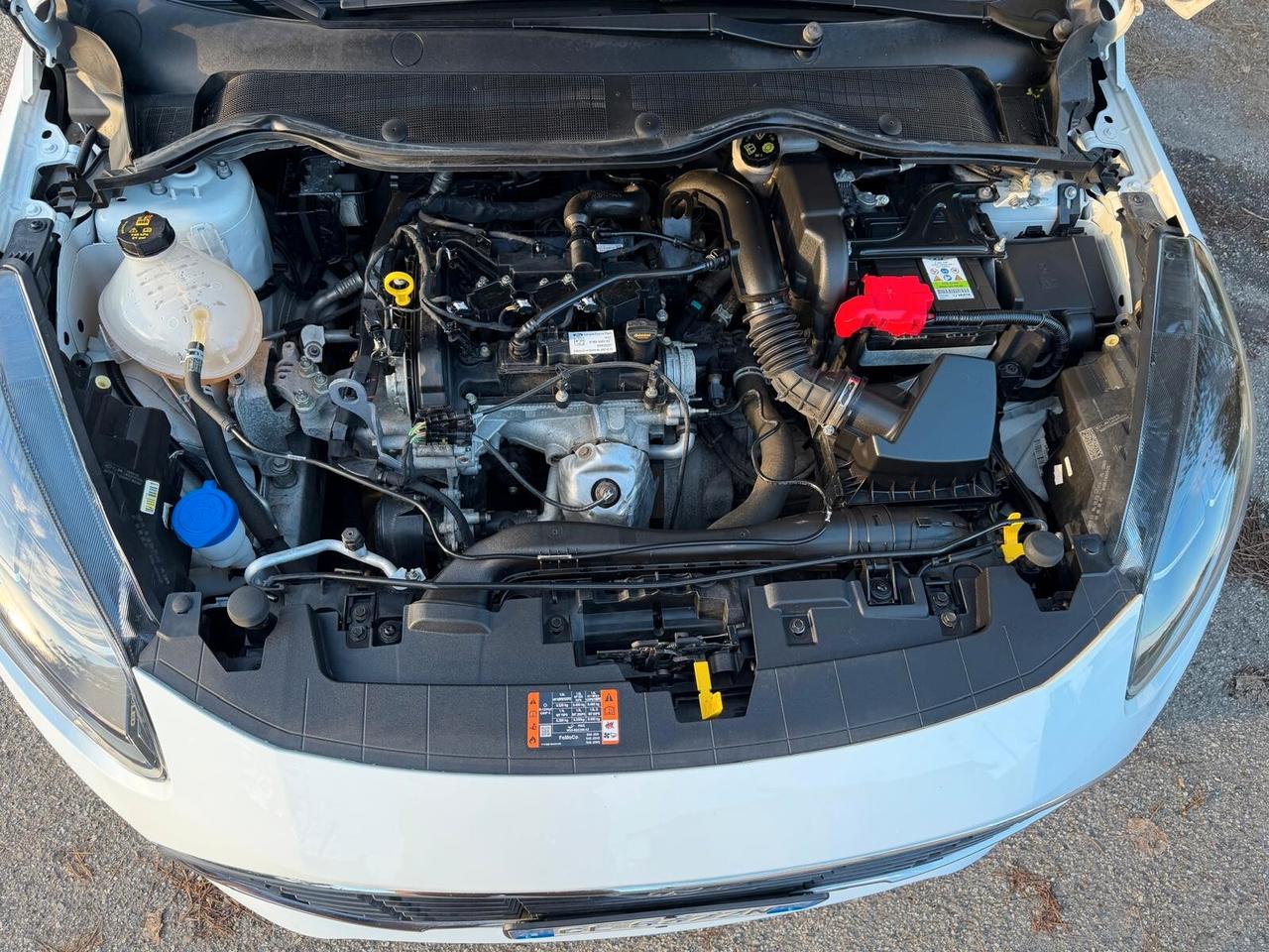 Ford Fiesta 1.1 75 CV 5 porte Titanium X NEOPATENTATI