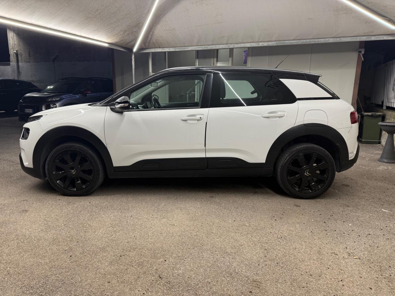 Citroen C4 Cactus BlueHDi 100 S&S Shine