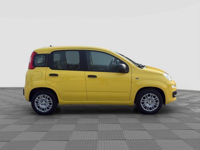 FIAT Panda Pandina 1.0 FireFly 65 CV Hybrid Pop
