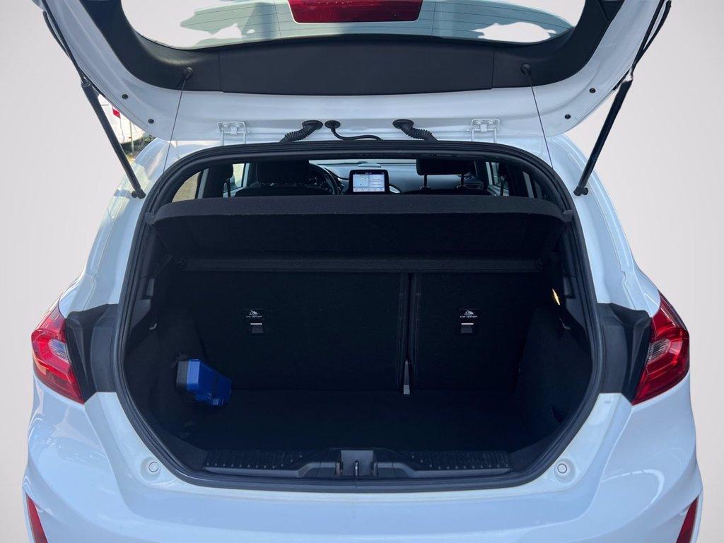 FORD Fiesta 1.5 EcoBlue 5 porte ST-Line del 2019