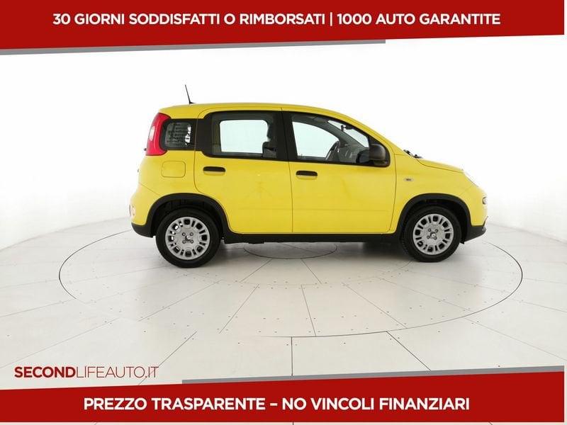 FIAT Panda Serie 7 2024 1.0 70cv Hybrid