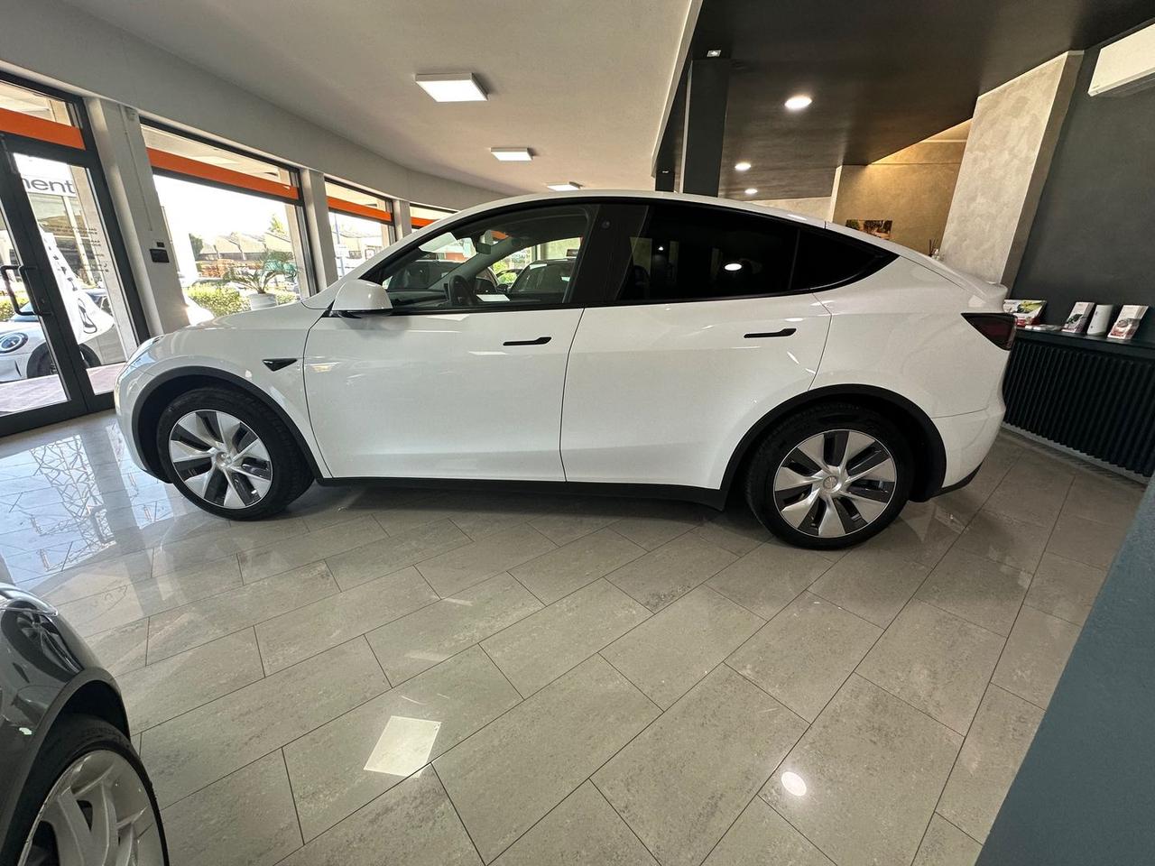 Tesla Model Y Standard Range RWD single moto #6584