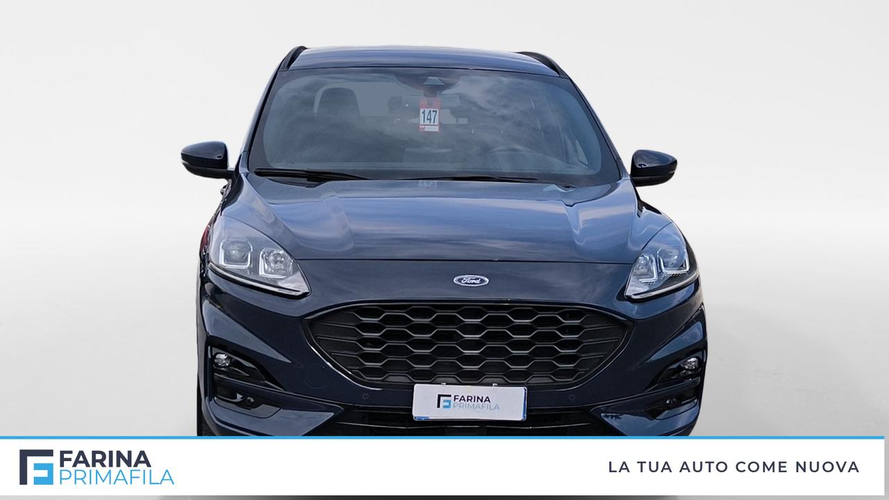 FORD Kuga III 2020 - Kuga 2.0 ecoblue ST-Line awd 120cv auto