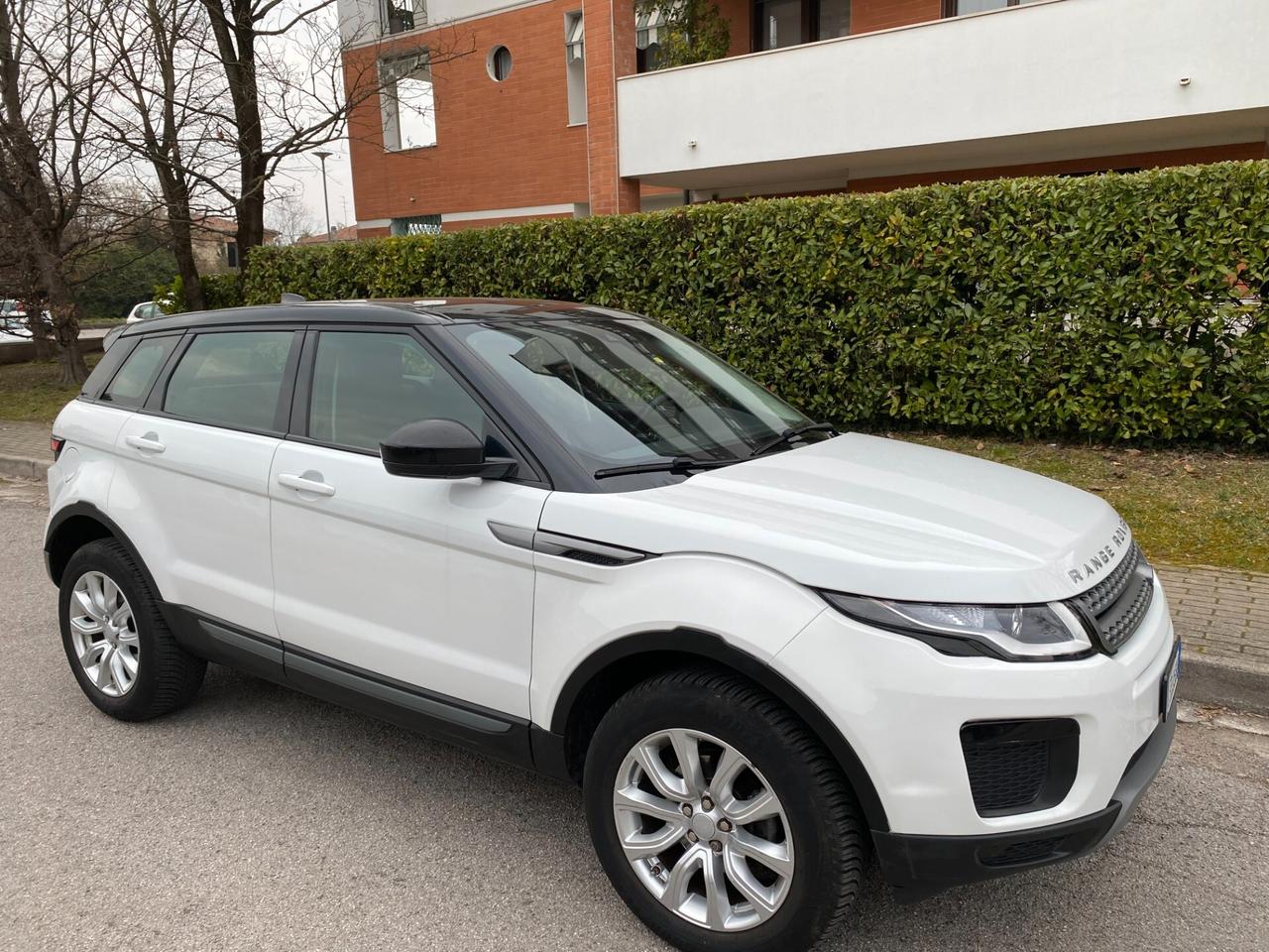 Land Rover Range Evoque 2.0 TD4 150 CV 5p. Pure