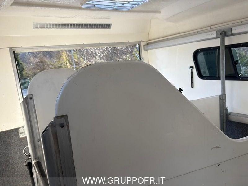 Trailer STEINSBERGER 3PF STEINSBERGER 3PF TRASPORTO CAVALLI