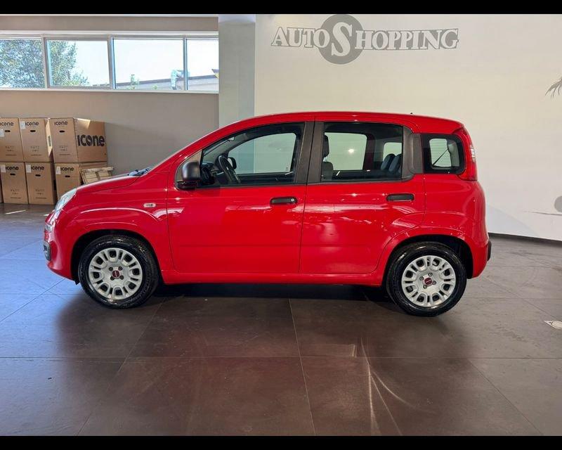 FIAT Panda 3ª serie 1.0 FireFly S&S Hybrid