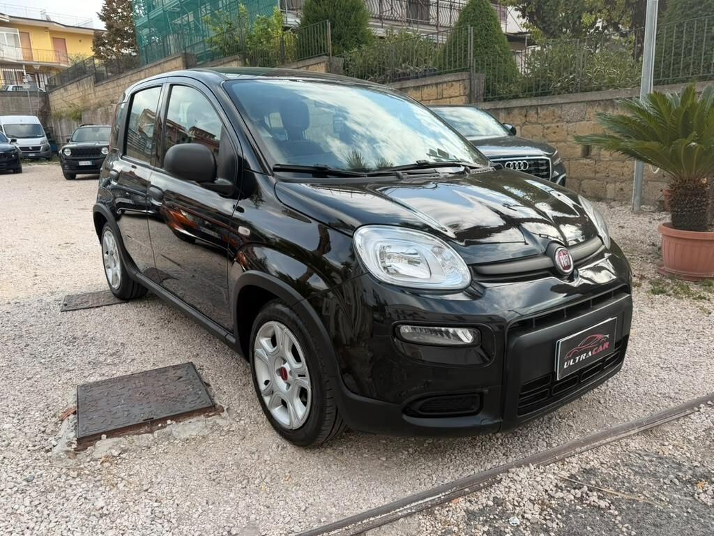 Fiat Panda 1.0 FireFly S&S Hybrid 2024