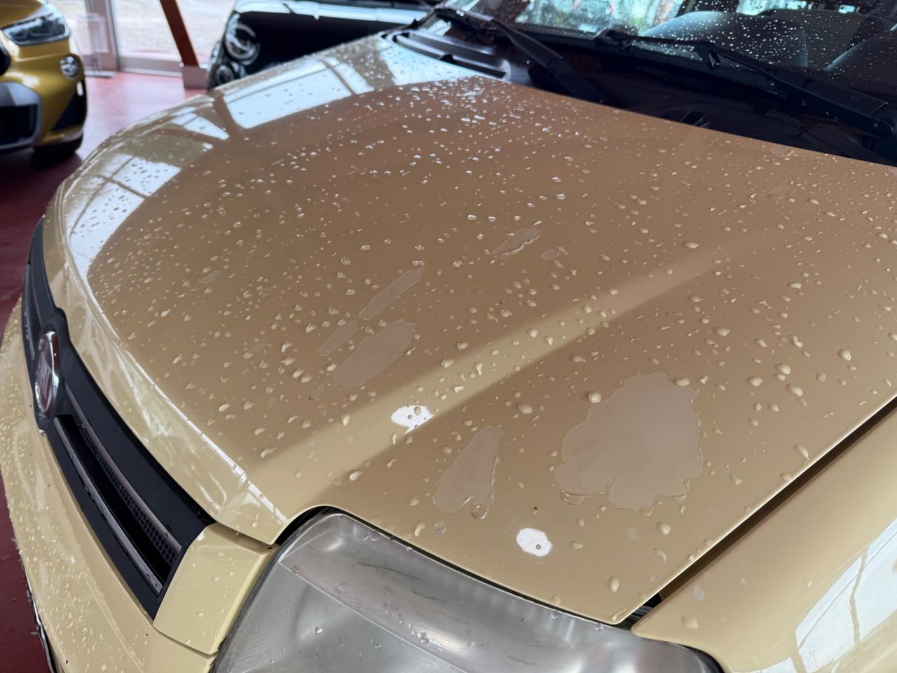 Fiat Panda 1.2 Benzina/Metano - Neopatentati