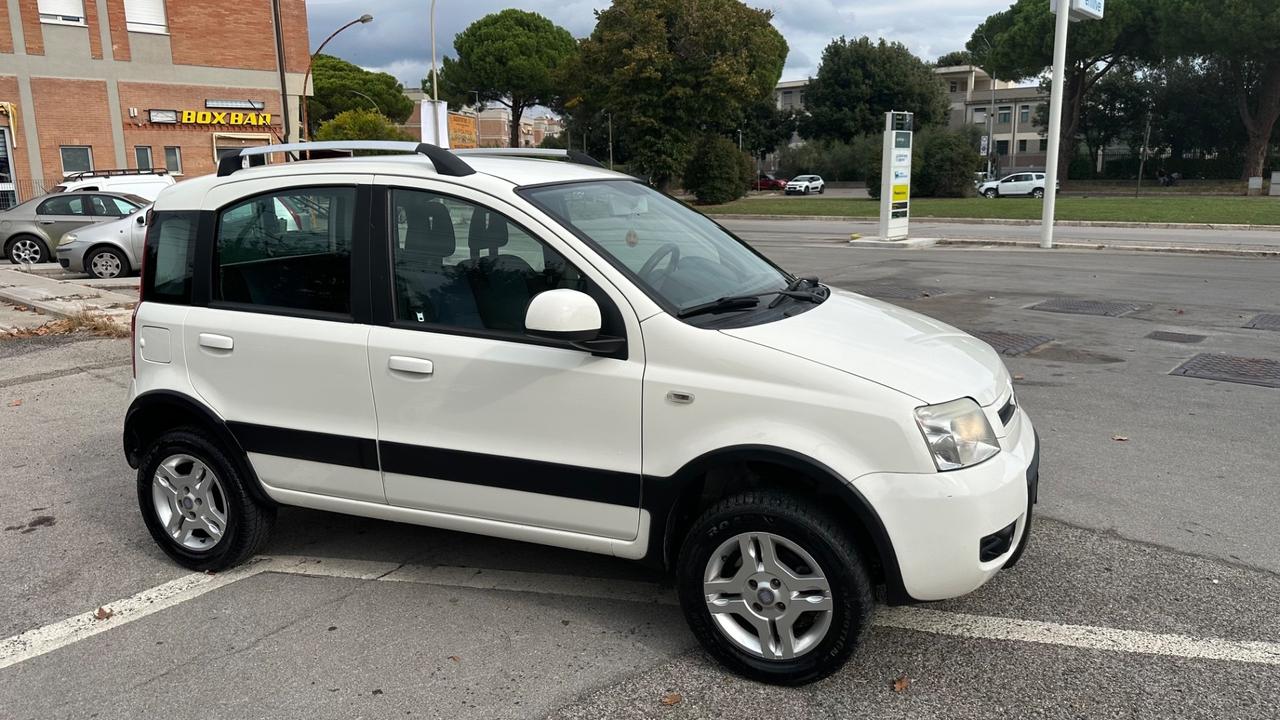 Fiat Panda 1.3 MJT 16V DPF 4x4 Climbing