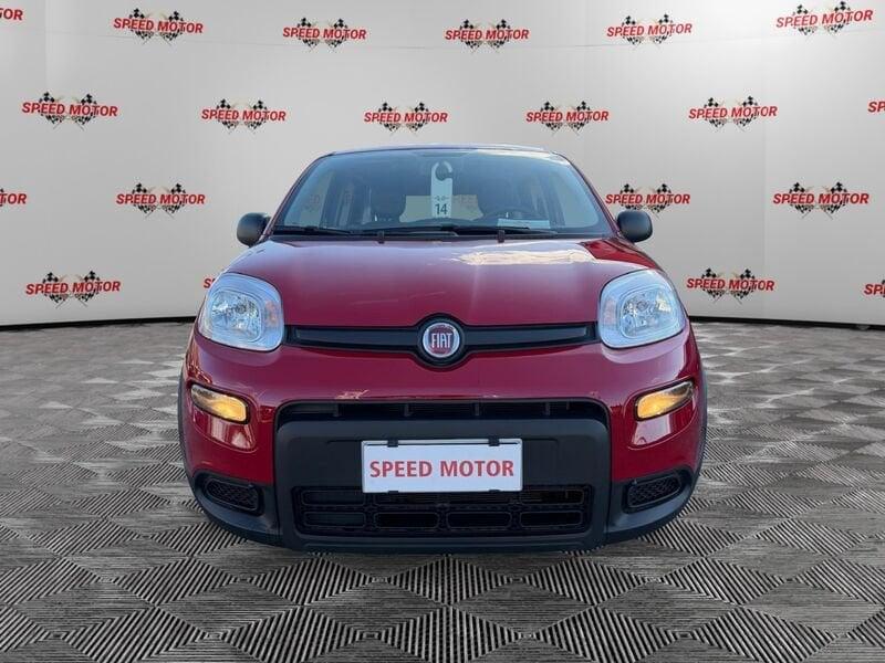 FIAT Panda Panda 1.0 firefly hybrid 70cv 5 POSTI, PRONTA CONSEGNA!