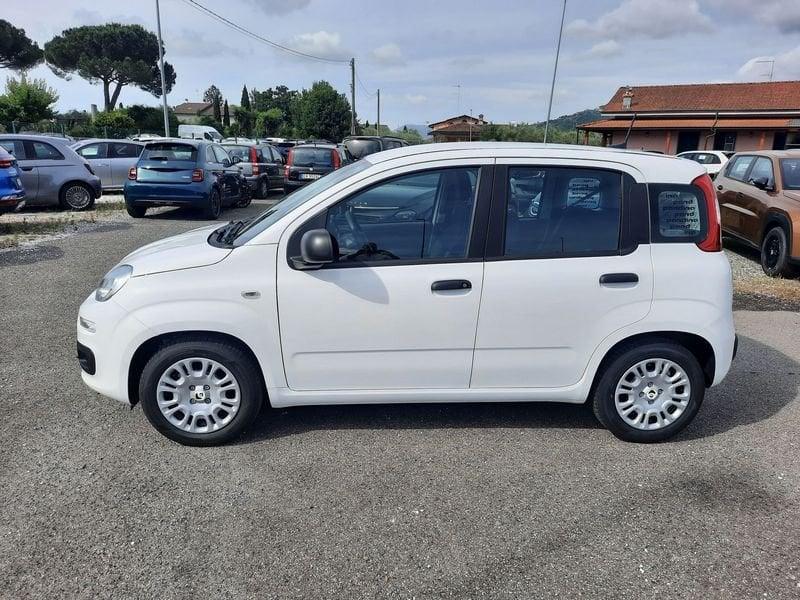 FIAT Pandina PANDA MY26 1.0 65CV HYBRID ICON