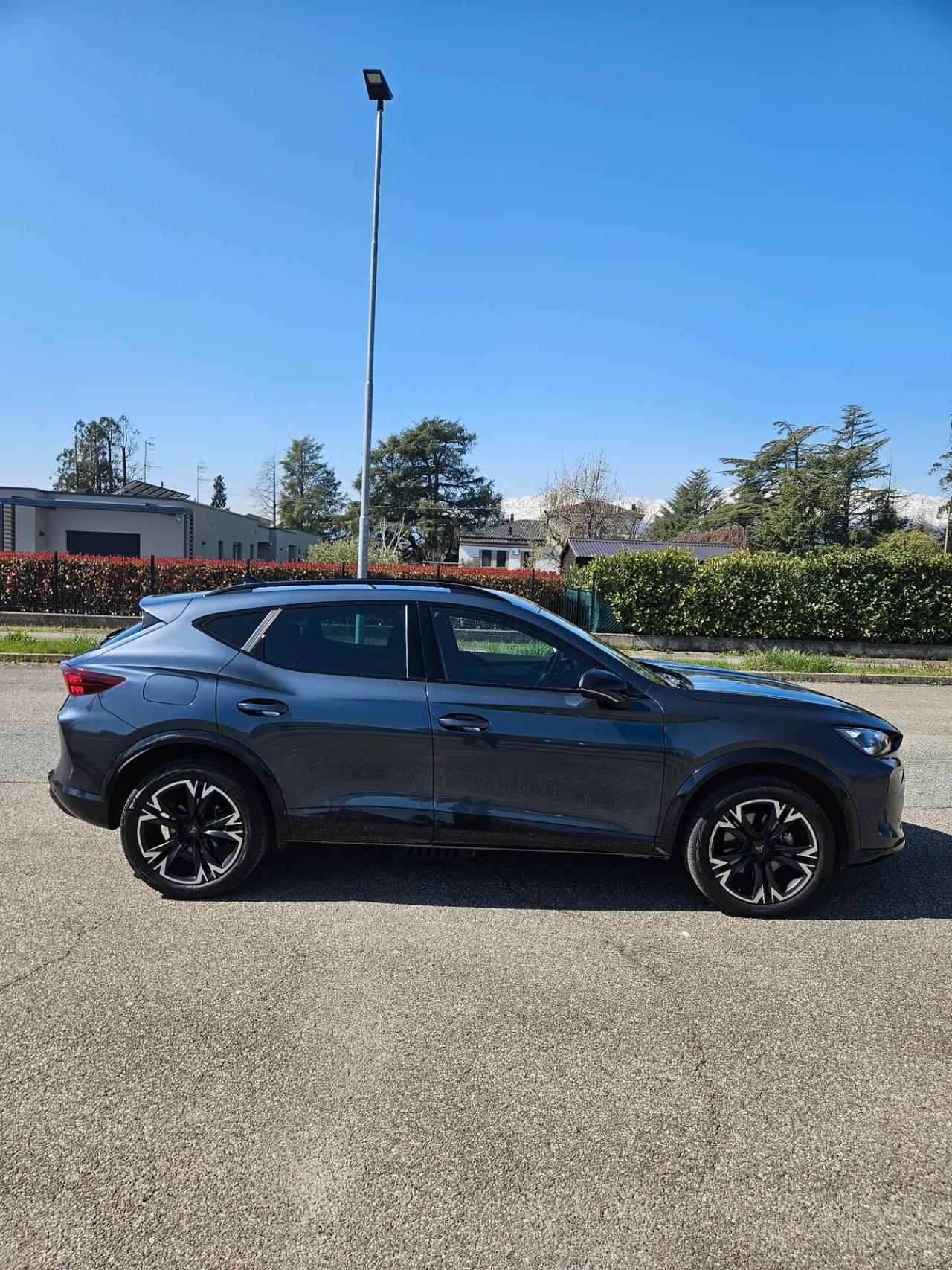 Cupra Formentor 2.0 TDI DSG