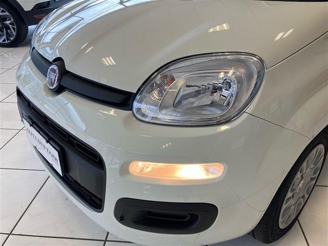 FIAT Panda Pandina 1.0 FireFly Hybrid 65cv Icon S&S 5p.ti