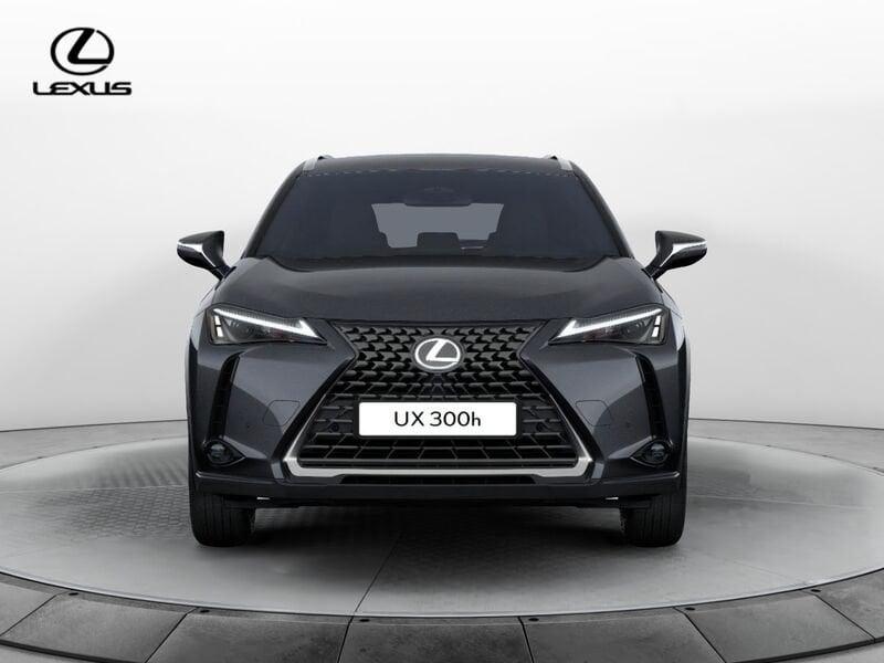 Lexus UX 300h Urban