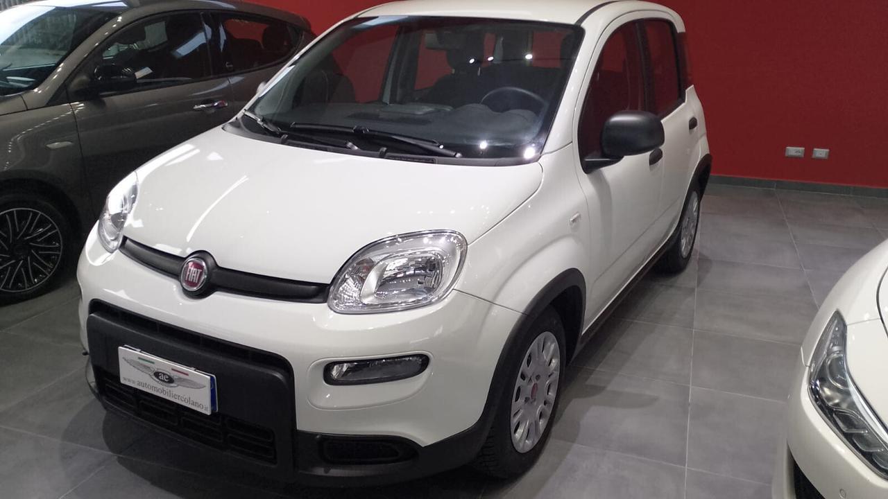 Fiat Panda 1.0 FireFly S&S Hybrid City Life